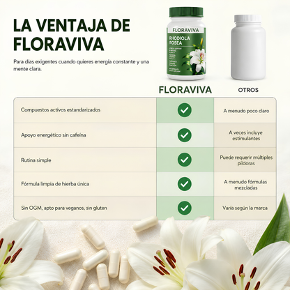 FLORAVIVA RHODIOLA ROSEA – Energía mental, resistencia al estrés y enfoque para rendir mejor cada día