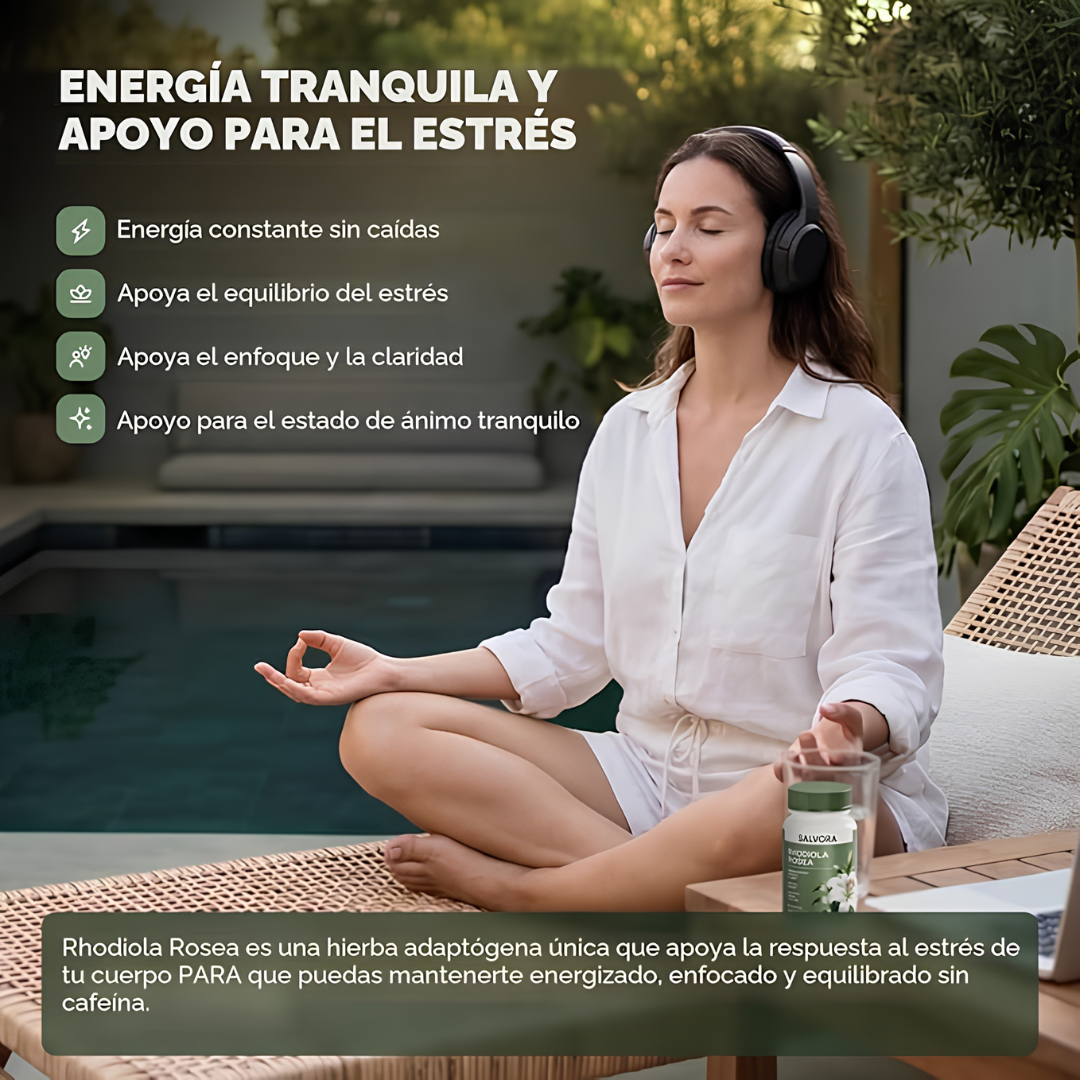FLORAVIVA RHODIOLA ROSEA – Energía mental, resistencia al estrés y enfoque para rendir mejor cada día