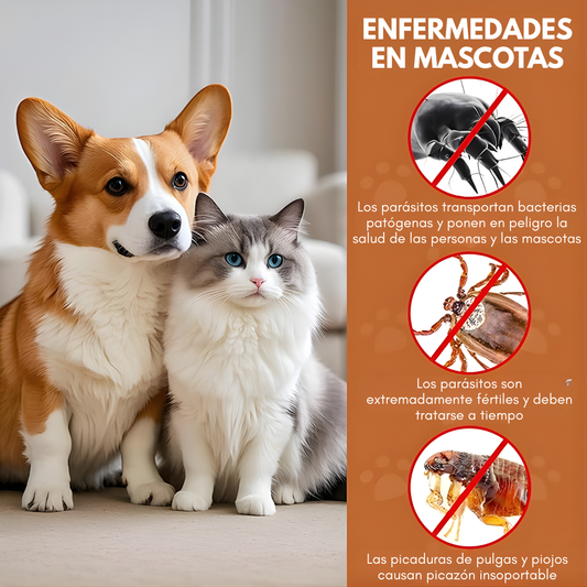 PIPETA DE GATOS – Protección efectiva, cuidado completo y bienestar para tu mascota