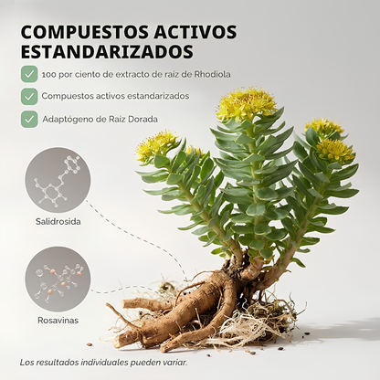 FLORAVIVA RHODIOLA ROSEA – Energía mental, resistencia al estrés y enfoque para rendir mejor cada día