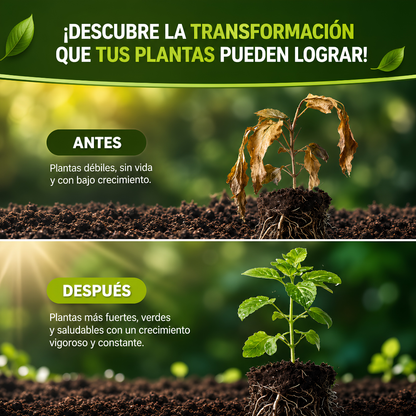 VIRESTA SOIL ACTIVATOR – Suelo fértil, plantas vigorosas