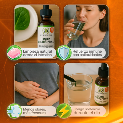 LIQUID CHLOROPHYLL 59ML – Apoyo digestivo para sentirte más ligera cada día