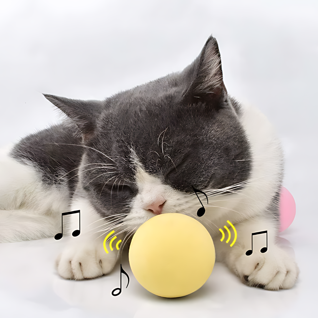 BOLA INTERACTIVA PARA GATO – Diversión automática, estimulación mental y juego sin aburrimiento