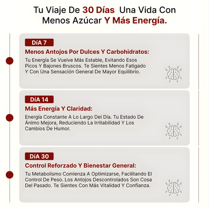 BLOOD SUGAR — Equilibrio natural del azúcar, energía estable y sin los altibajos que cansancio te dejan