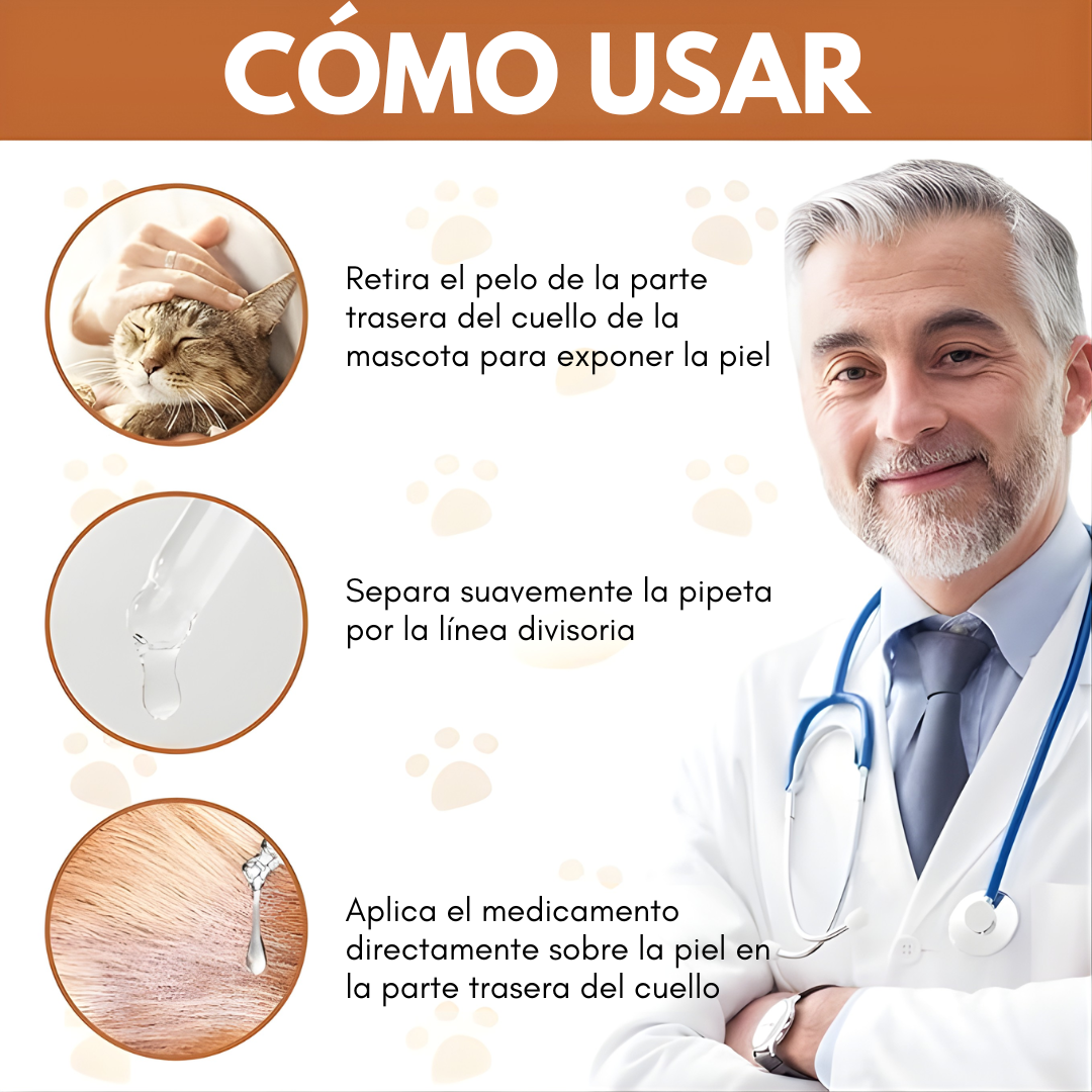 PIPETA DE GATOS – Protección efectiva, cuidado completo y bienestar para tu mascota