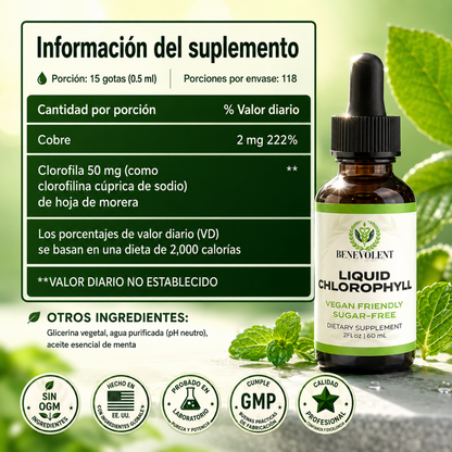 LIQUID CHLOROPHYLL 59ML – Apoyo digestivo para sentirte más ligera cada día