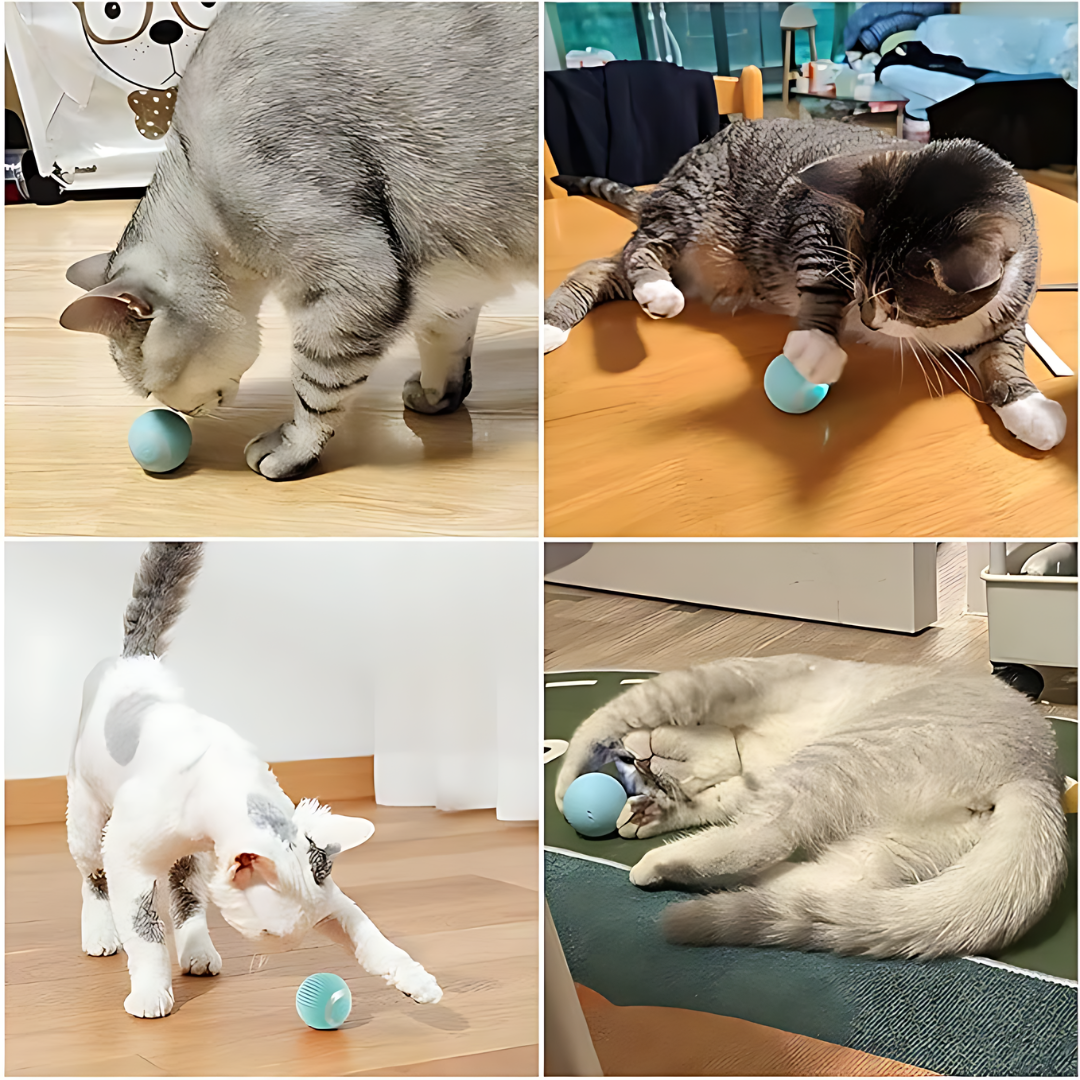 BOLA INTERACTIVA PARA GATO – Diversión automática, estimulación mental y juego sin aburrimiento
