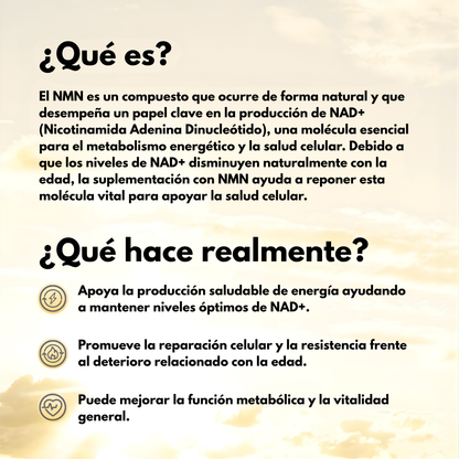 NMN – SOPORTE CELULAR Y ENERGIA METABOLICA AVANZADA (60CAP) – Energía celular, vitalidad diaria y rendimiento desde el interior