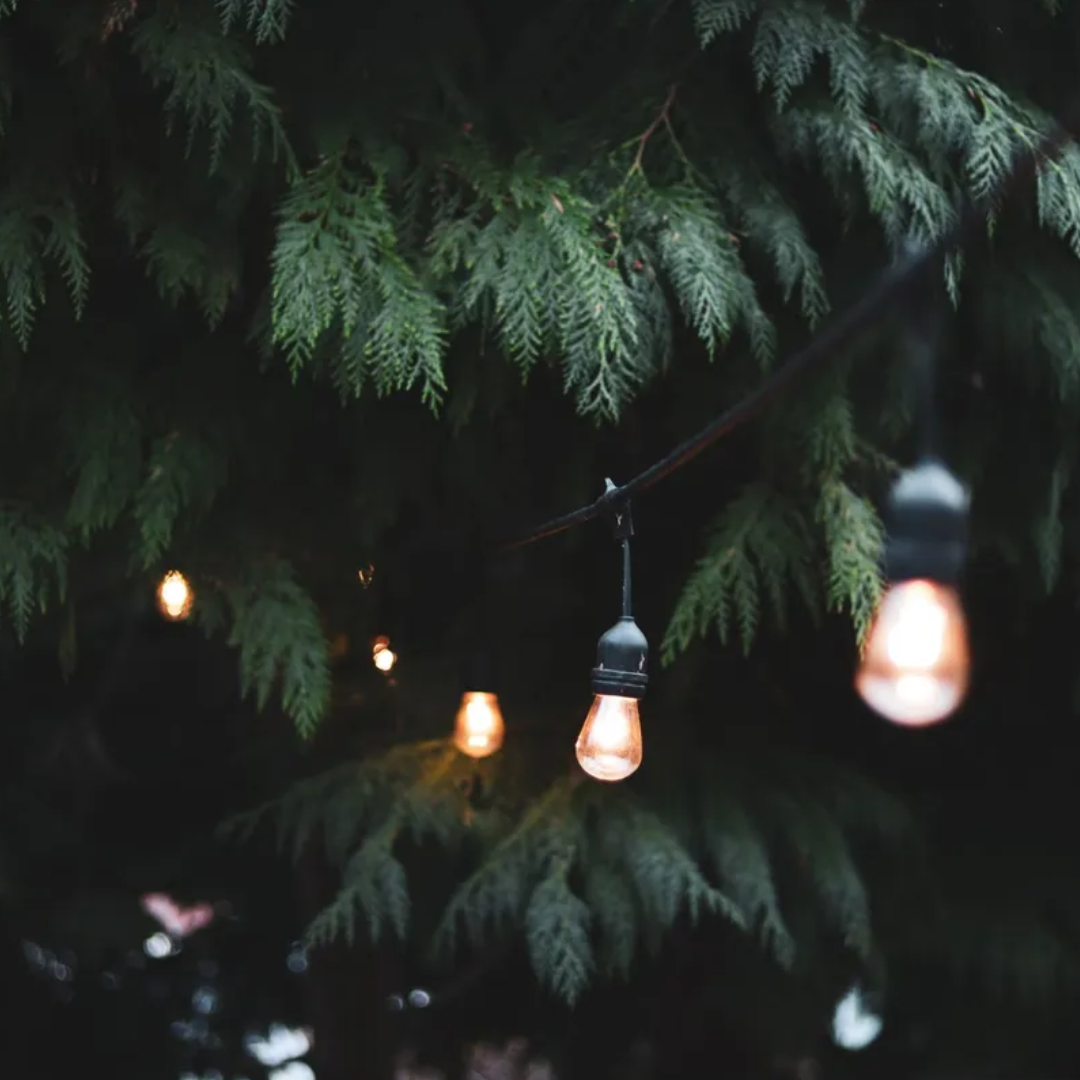 SERIE DE 10 LUCES LED — Transforma cualquier espacio con luz cálida