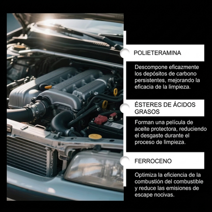 LIMPIADOR DEL SISTEMA DE COMBUSTIBLE — Evita daños costosos con una limpieza profunda