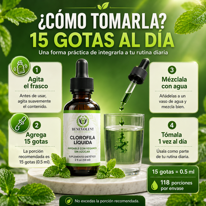 LIQUID CHLOROPHYLL 59ML – Apoyo digestivo para sentirte más ligera cada día