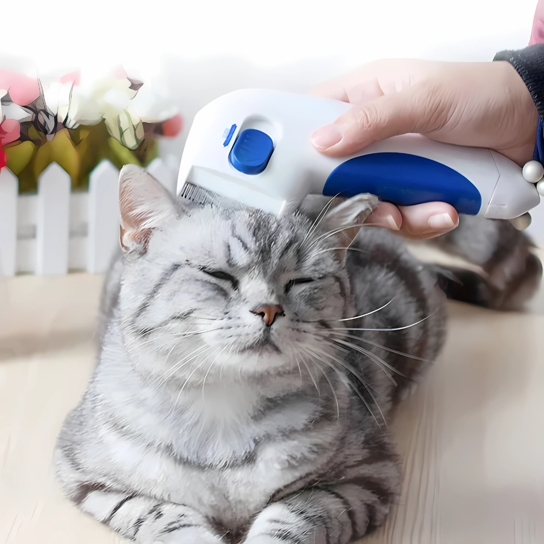 PEINE ELECTRICO MATA PULGAS - Elimina las pulgas al instante y sin químicos, cuidando la piel de tu mascota.